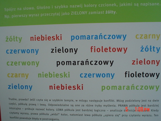 Trwa adowanie zdjcia...