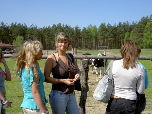 Trwa ładowanie zdjęcia...